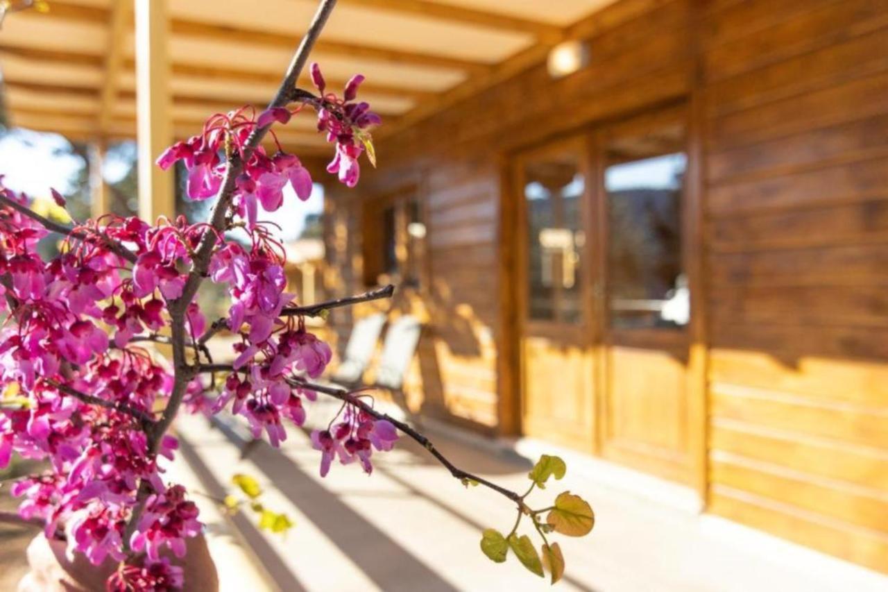 Agrelia Homes Dragano ภายนอก รูปภาพ